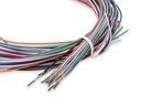 HLY-558-456 img3