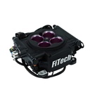 FIF-30008 img2