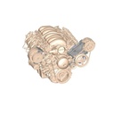HLY-20-131BK img1 w0