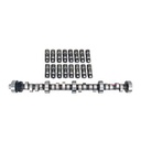 CCA-CL31-600-8 img1 w2