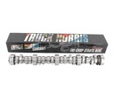 BTC-TRUCKNORRIS img1 w1