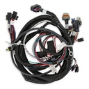 Holley 558-112: 558-112 Main Engine Harness For 58X Ls W/Tbi