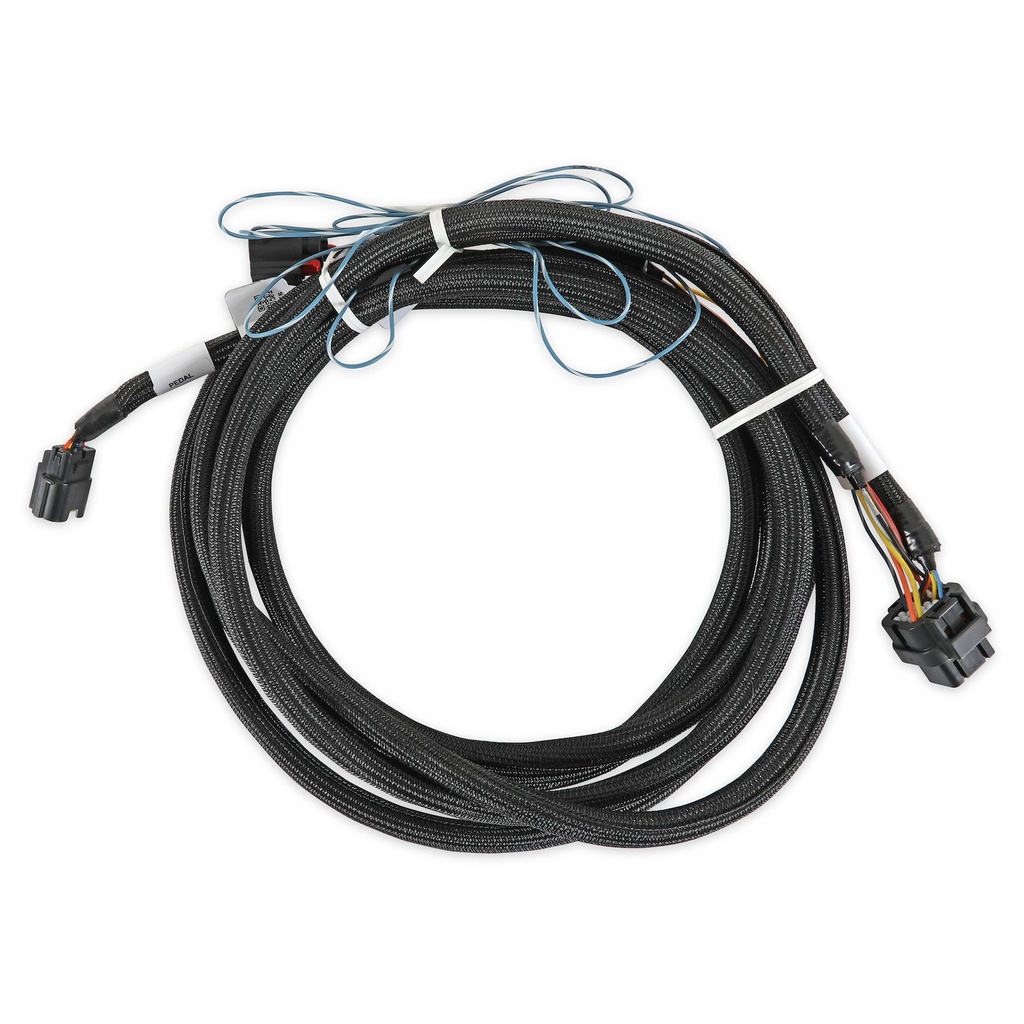Holley 558-469: 558-469 Terminator X EFI Ford Drive-By-Wire (DBW) Harness for 2018-2022 Ford Engines