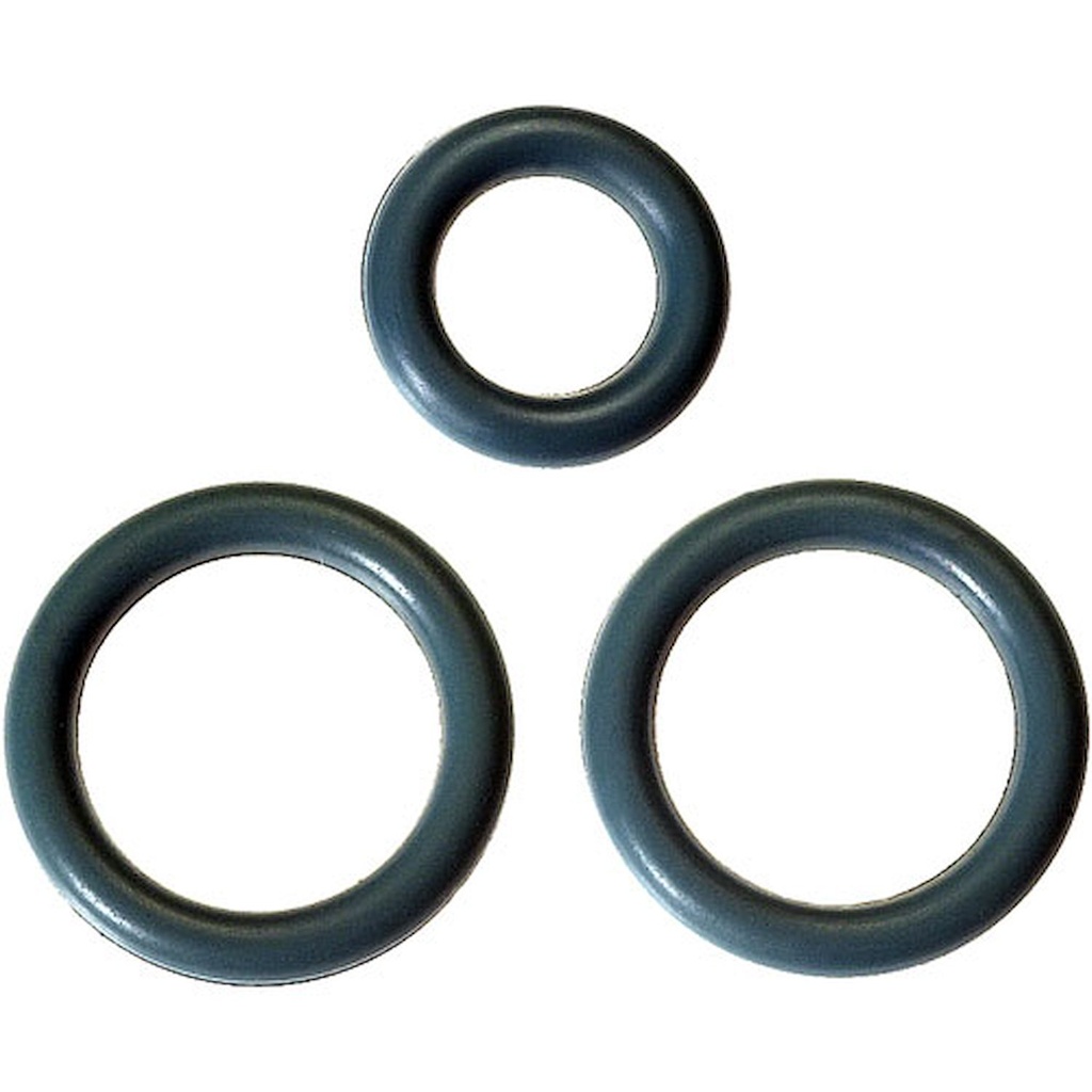 ACDelco 17113552: 17113552 Fuel Injection Fuel Rail O-Ring Kit