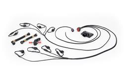 Advanced Fuel Dynamics PROFLEX Commander Systems for Ford Mustang GT350/350R