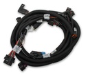 Holley 558-125: 558-125 Ti-VCT EFI Sub Harness for 2013-2014 Ford Coyote