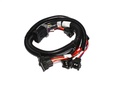 FAST 301203: XFI Fuel Injector Harness Ford 4.6L, 5.0L, 5.4L, 5.8L