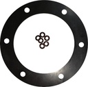 Tanks Inc. 3G-V-OR: 3G-V-OR 3-1/4 in. Diameter 6 Hole Viton Gasket w/ O-Rings