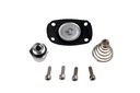 Aeromotive 13005: Regulator Service Kit For Aeromotive P/N 13201, 13205, 13211, 13215, 13217, 13251, 13255