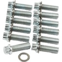 Allstar Performance ALL87010: Intake Bolt Kit Small Block Chevy, 12-Point