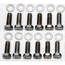 Trans Dapt 9265: Intake Manifold Bolt Set Fits Small Block Chevy 283-350 and Chevy 90º V6