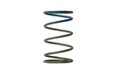 Turbosmart TS-0505-2005: Wastegate Spring 10 psi (Brown/Blue Outer Spring)