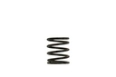Turbosmart TS-0505-2001: Wastegate Spring 3 psi (Brown/Black Inner Spring)