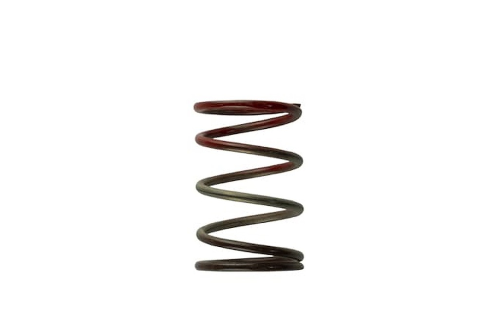 Turbosmart TS-0505-2004: Wastegate Spring 11 psi (Brown/Red Middle Spring)