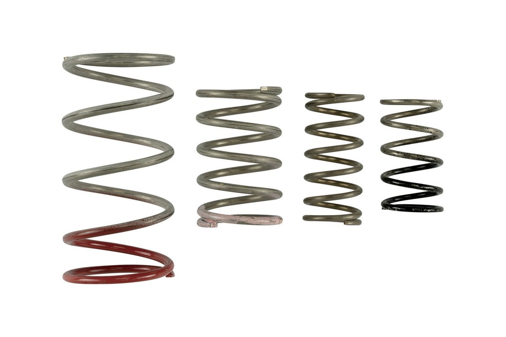 Turbosmart TS-0600-2011: TS-0600-2011 GenV IWG Spring Replacement Kit, Universal