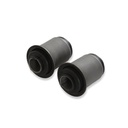 Detroit Speed 041405DS: TRUCK ARM BUSHING KIT, 19