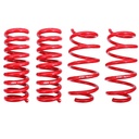 BMR Suspension SP110R: Performance Lowering Springs 2008-2018 Dodge Challenger