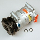 Delphi CS0121: AC Compressor H6 Series