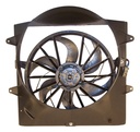 Crown Automotive 52079528AD: Electric Cooling Fan