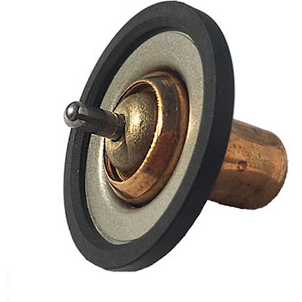 JET Performance 10167: Low-Temp Stat Thermostat