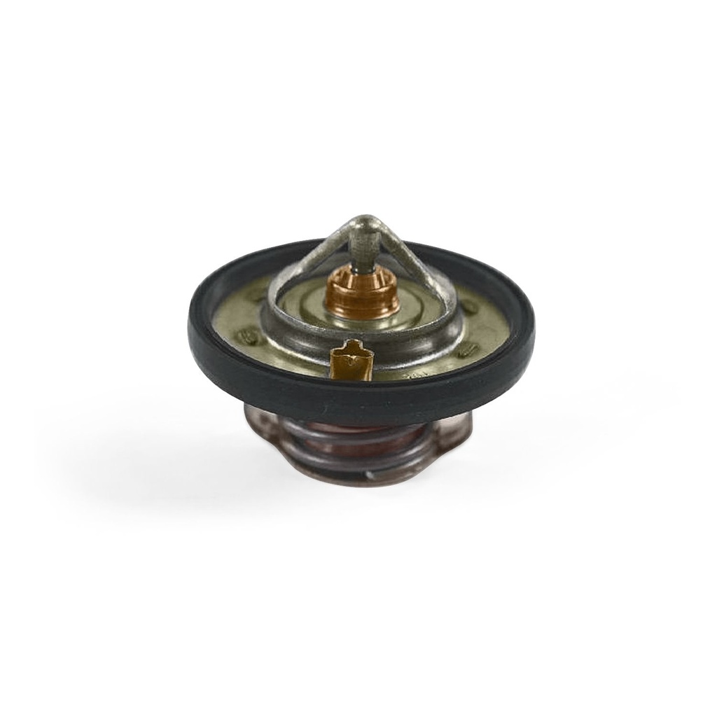 Mopar Accessories 68174083AA: THERMOSTA