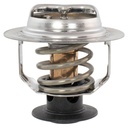 Motorcraft RT1251: THERMOSTATASY (P)
