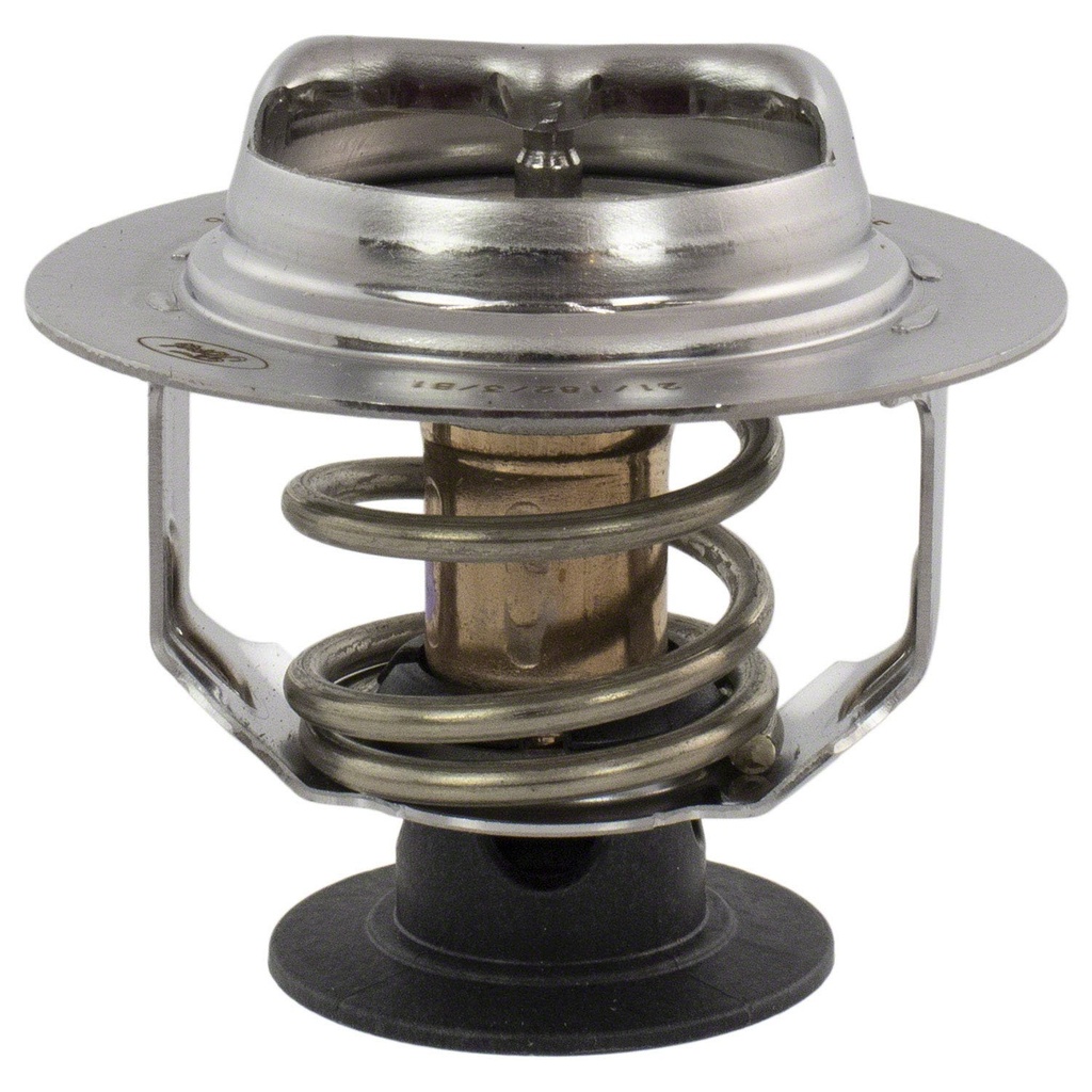 Motorcraft RT1252: THERMOSTATASY (P)