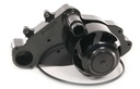 Meziere WP319S: WP319S 300-Series Electric Water Pump for GM LS1/LS6 Engines, 55 GPM [Black Anodized]