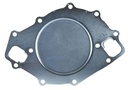 Ford Performance M-8501-460BP: Water Pump Backing Plate 460 Big Block