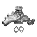 ACDelco 252-608: PUMP KIT WAT