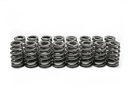 Brian Tooley Racing BTR SP011-16: SP011-16 Beehive Valve Spring Set, GM LS6, Max Lift: .560 in.