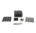 Brian Tooley Racing BTR BTR-SK018: BTR-SK018 Beehive Valve Spring Kit, Max Lift: .625 in.