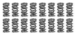 BTR Platinum Valve Spring Kits