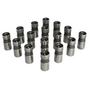 Howards Cams 91216: Direct Lube Hydraulic Flat Tappet Lifter Set Ford 221-302, 351W/351C/400M, 429-460