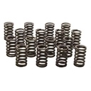 Chevrolet Performance 19154761: Valve Spring Kit - Single Small Block Chevy CT350/350 and 350HO