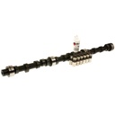 Melling CL-SYB-38: CL-SYB-38 Stock Replacement Camshaft Lifter Kit