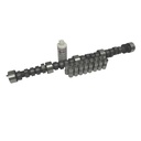 Melling CL-CCS-25: CL-CCS-25 Camshaft And Lifter Kit 1970-93 GM V8 Engines