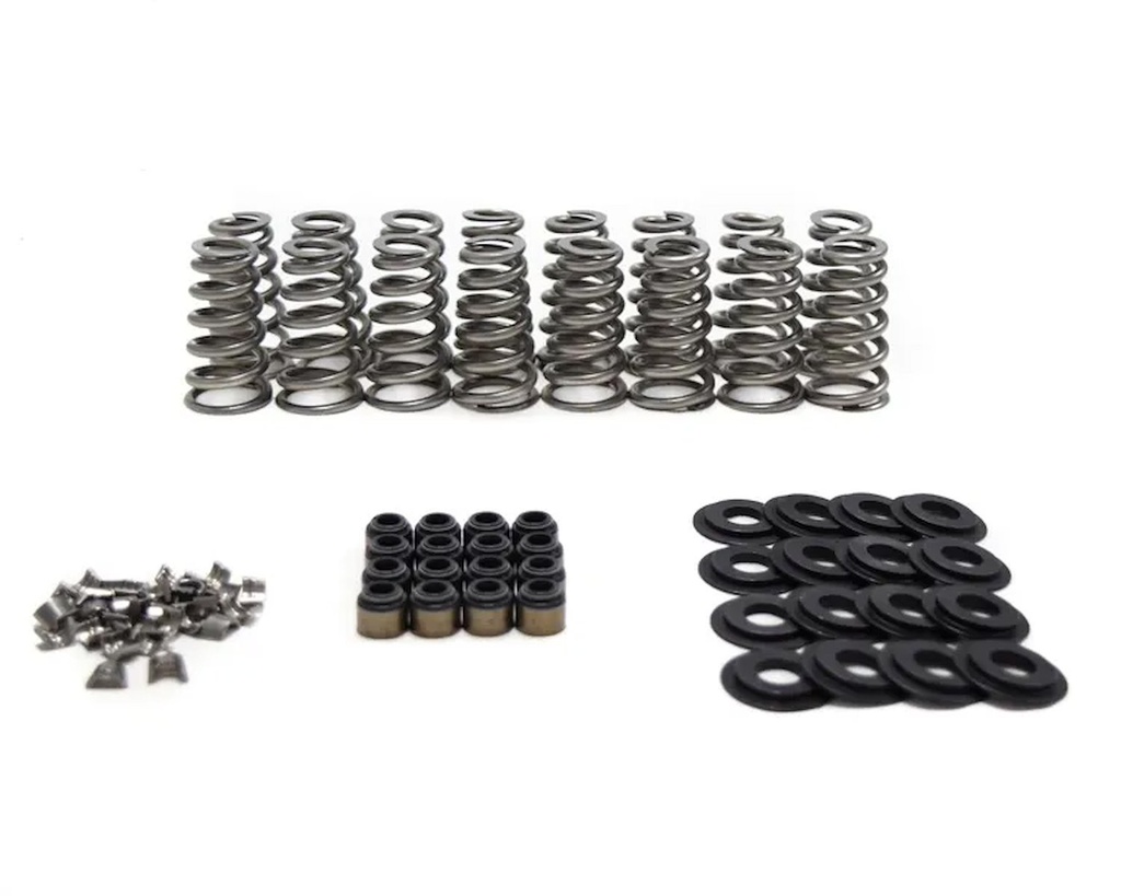 Brian Tooley Racing BTR SK013: SK013 Conical Spring Kit, GM Gen V LT, .650 in. Lift