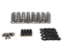Brian Tooley Racing BTR SK013: SK013 Conical Spring Kit, GM Gen V LT, .650 in. Lift