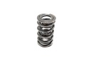 Brian Tooley Racing BTR SP001-16: SP001-16 Platinum Dual Valve Spring Set, Max Lift .660 in.