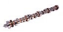 COMP Cams 34-443-9: Comp Cams Xtreme Energy Hydraulic Roller Camshafts
