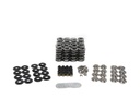 Brian Tooley Racing BTR SK008-BB: SK008/BB Platinum Dual Spring Kit, Gen V GM LT4, .660 in. Lift