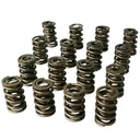 Howards Cams 98630: Max Effort Mechanical Roller Dual Valve Spring Set 1.539 in. OD