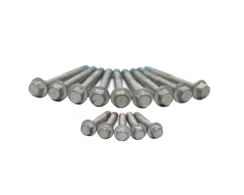 Brian Tooley Racing BTR BTR00568: BTR00568 Head Bolt Kit for GM LS Engines (04+)