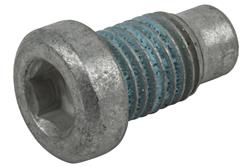 ACDelco 11610259: PLUG - CYLINDER (SLP-1)