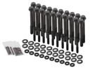 Earl's TBS-002ERL: Head Bolt Set