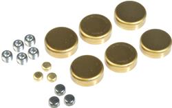 Dorman Expansion Plugs
