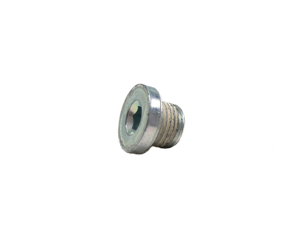 Brian Tooley Racing BTR BTR88949: BTR88949 Small Coolant Plug for GM Gen III/IV LS Engines