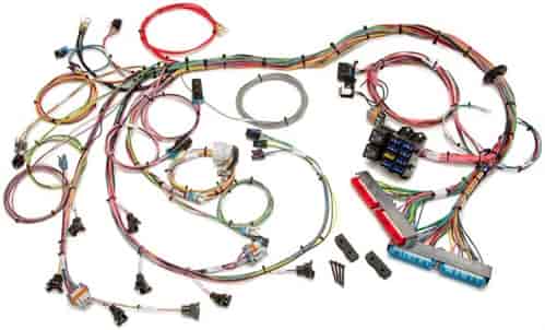 [PRF-60508] Painless Performance Products 60508: EFI Wiring Harness 1998-2004 GM LS1/LS6