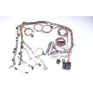 [PRF-60218] Painless Performance Products 60218: EFI Wiring Harness 1999-2006 GM Vortec 4.8/5.3/6.0L